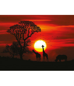girafe coucher de soleil
